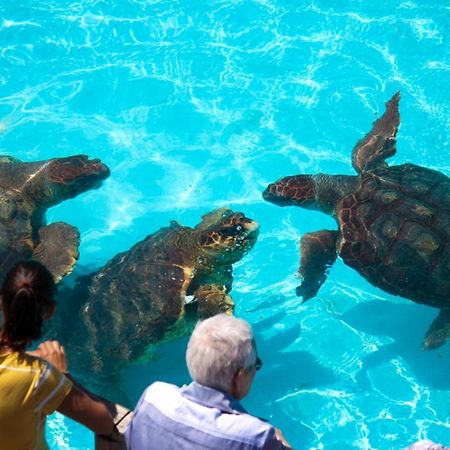 Pousada Barra Linda Florianópolis Dış mekan fotoğraf